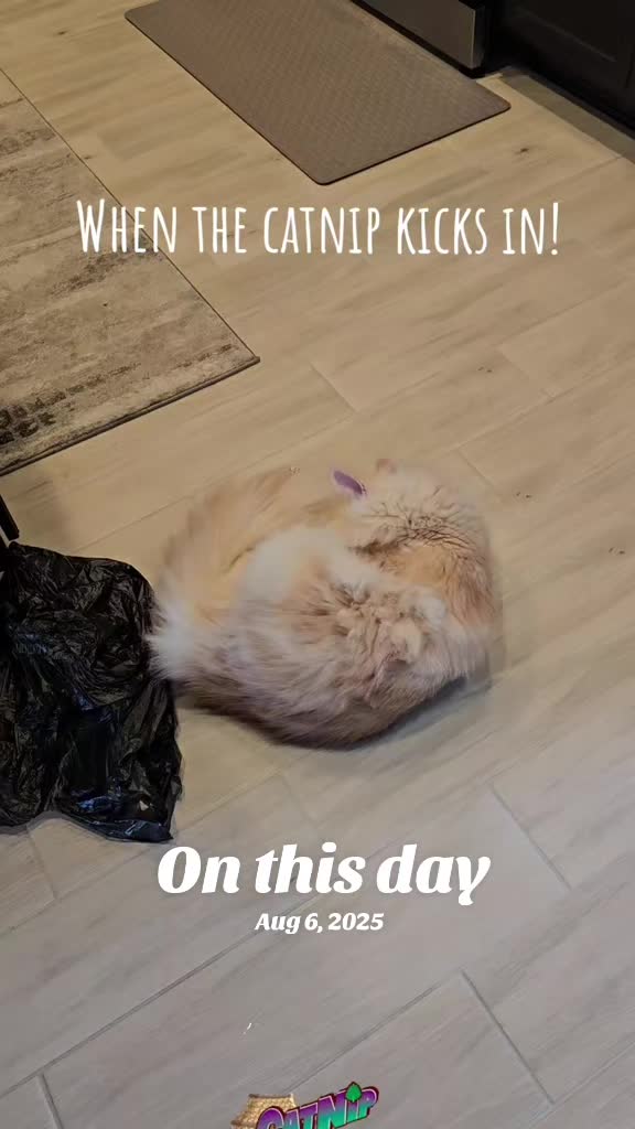 @misschris108