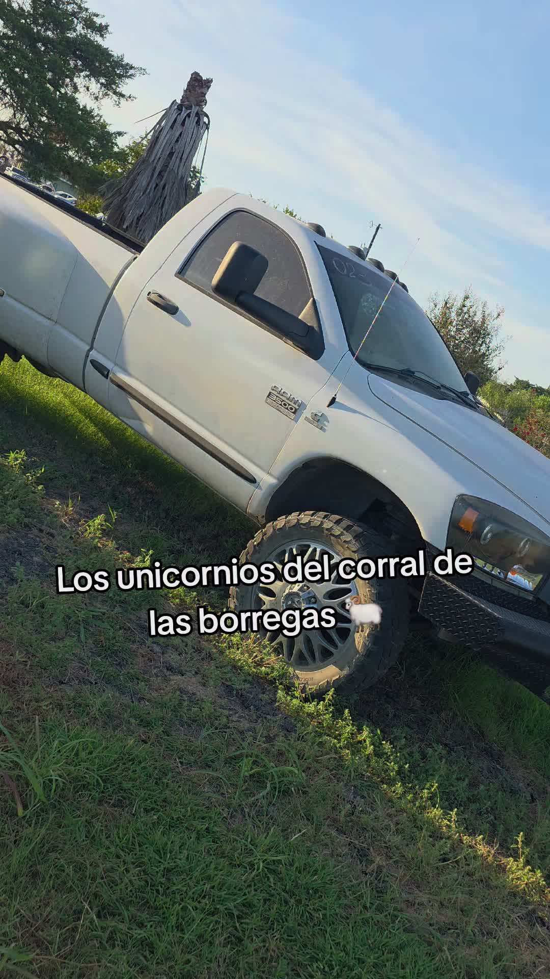 @Nimio Robles