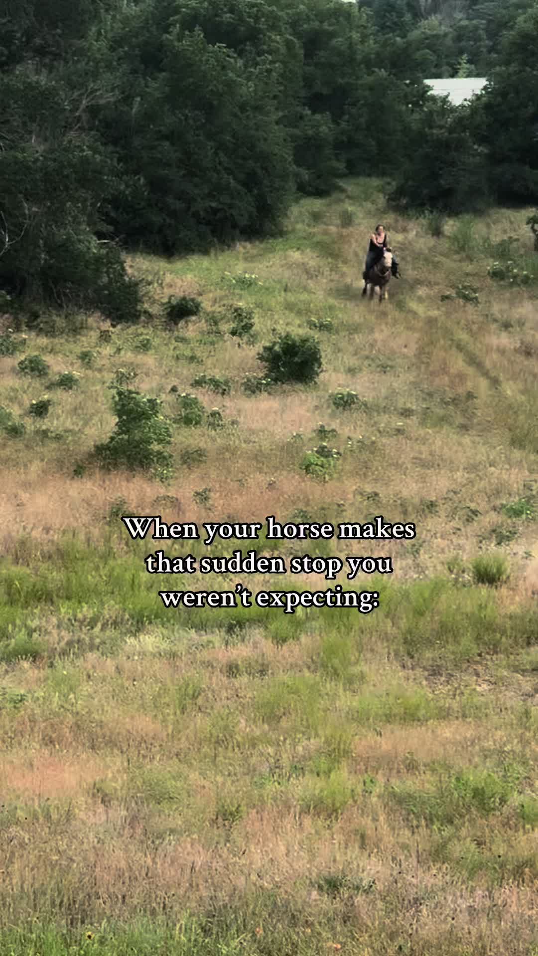 @Horses TikTok