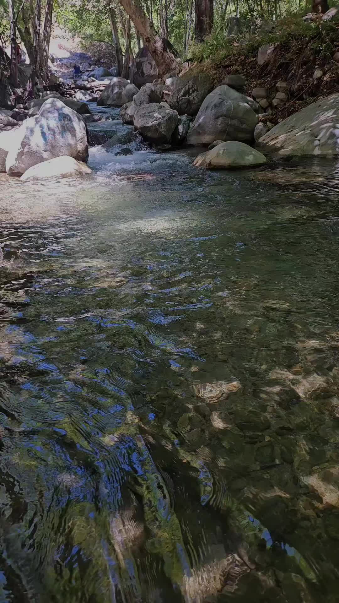 @Mbaez