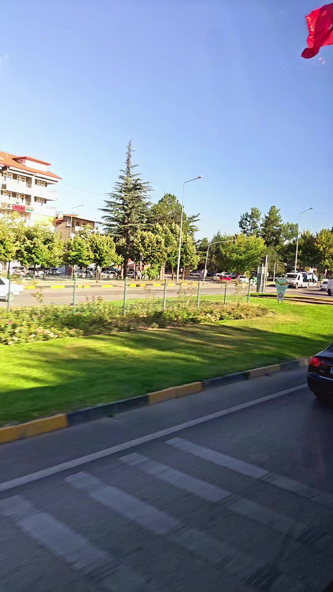 @laz kızı _28_07