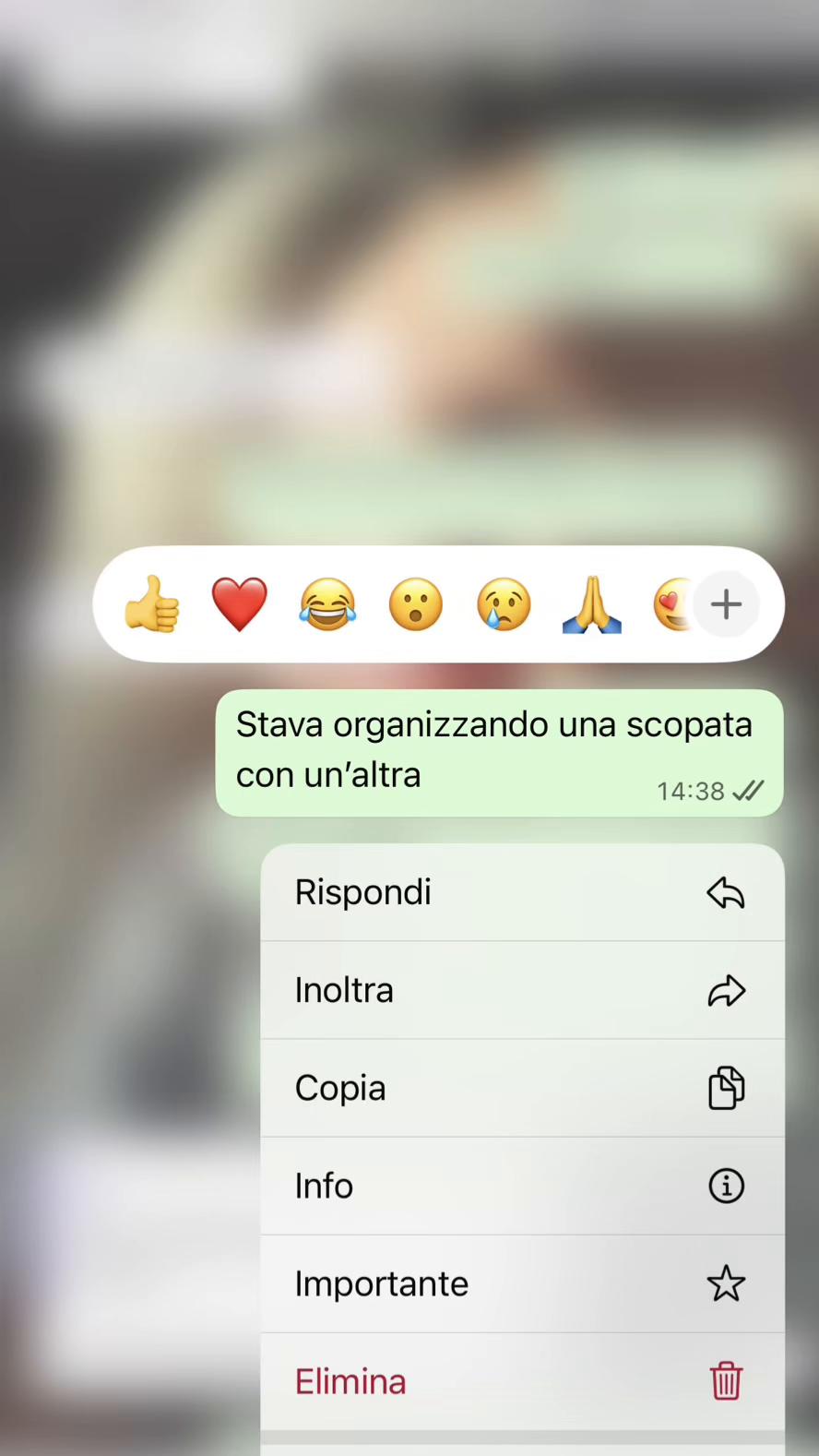 @devina🧚🏻♀️