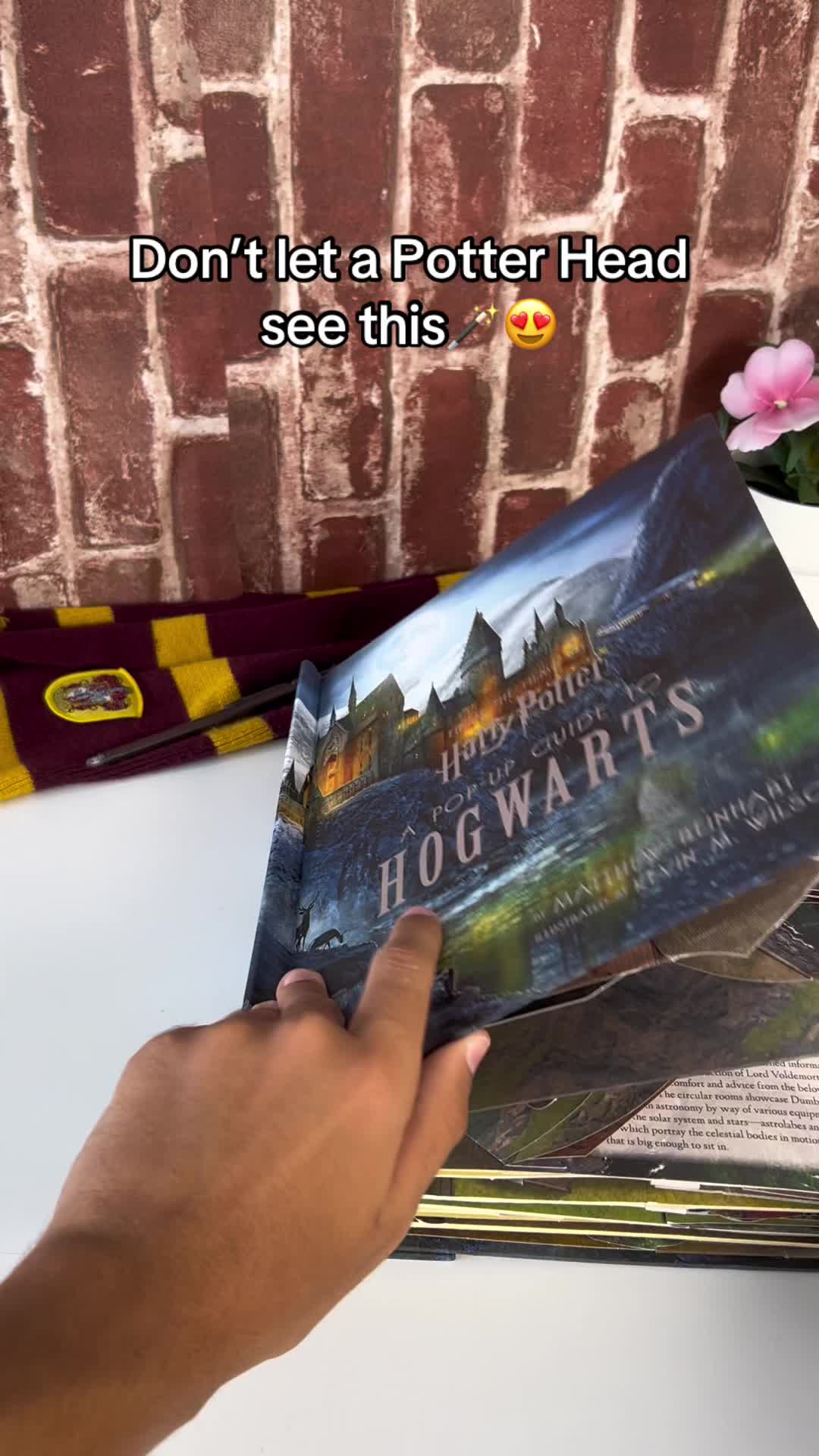 @thelumoslibrary