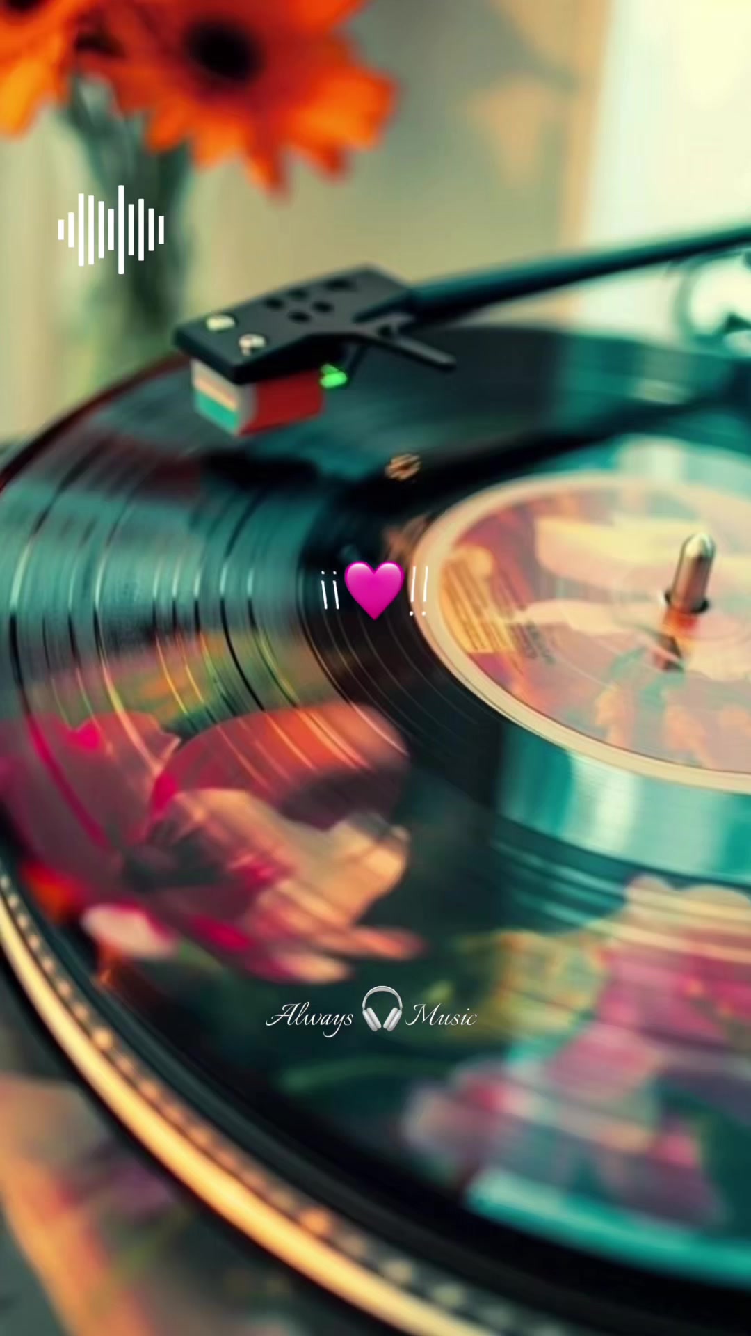 @𝘼𝙡𝙬𝙖𝙮𝙨 🎧 𝙈𝙪𝙨𝙞𝙘