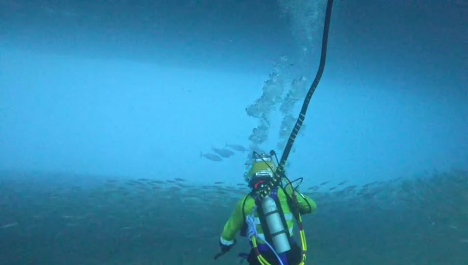 @auscomdiver