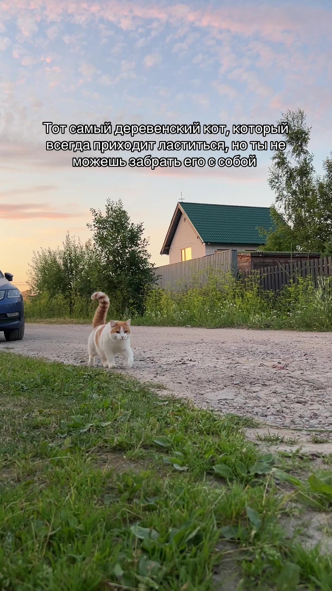 @Хлебобулочное