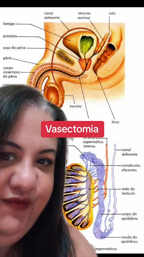 @anatomia virtual