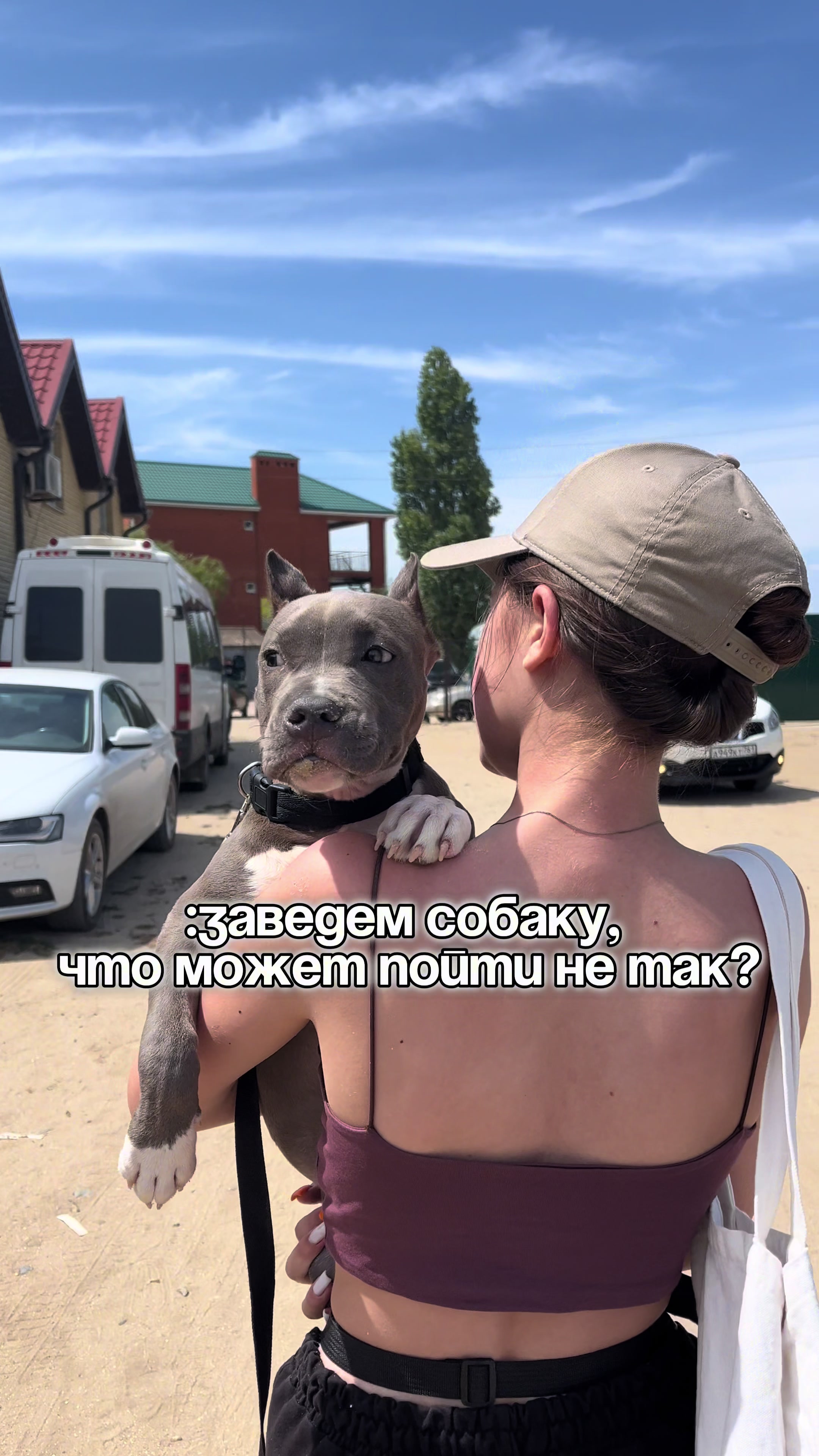 @🐶зᴧой ᴀʍᴄᴛᴀɸɸ⛓️💥