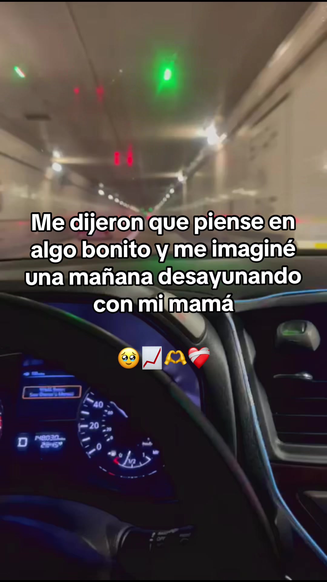 @Ashlyn Celeste 🌸💫