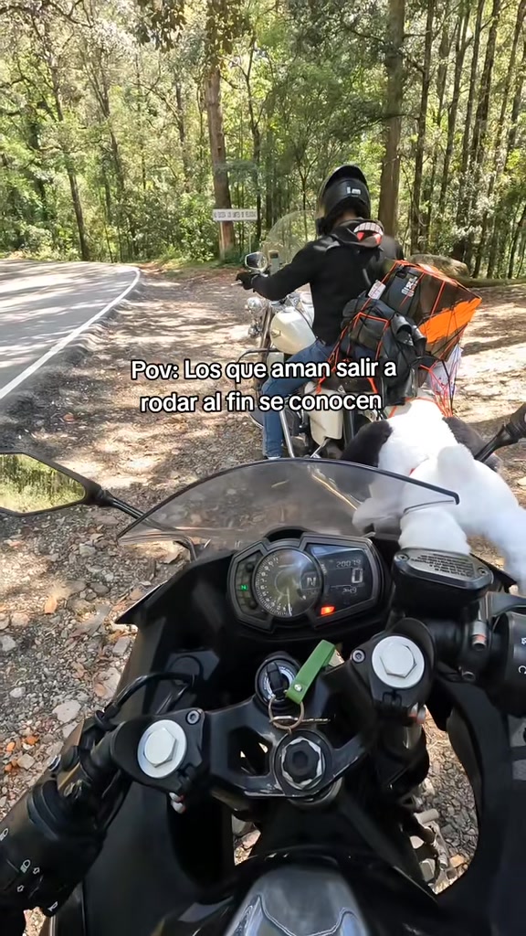 @Lady Rider