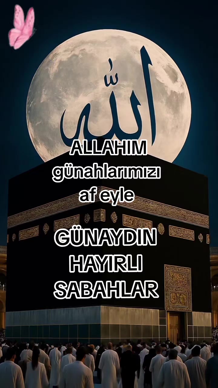 @gulvehsrn