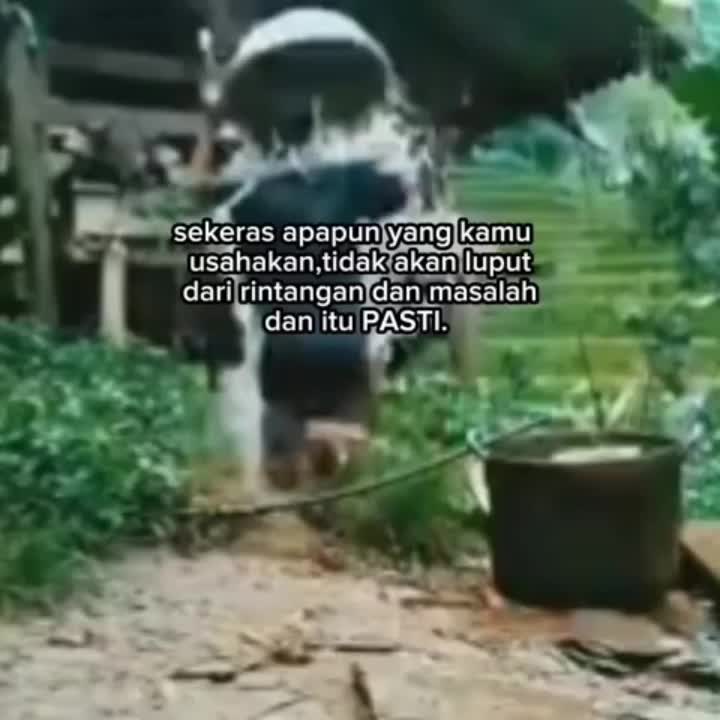 @yotamapr
