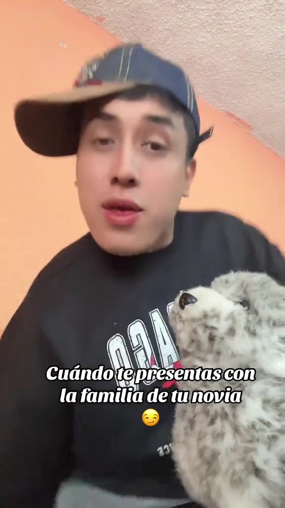 @tigrillo_mx