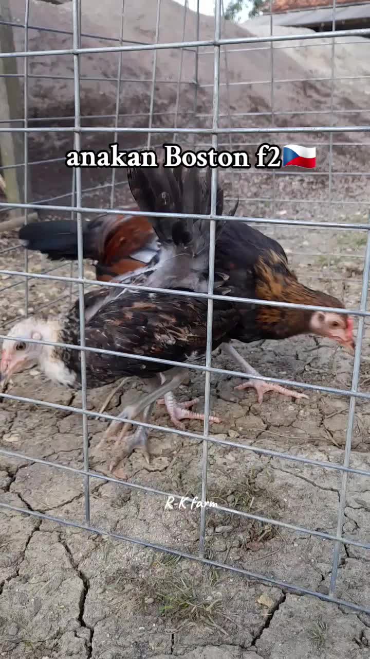 @R-K. FARM (MDR)