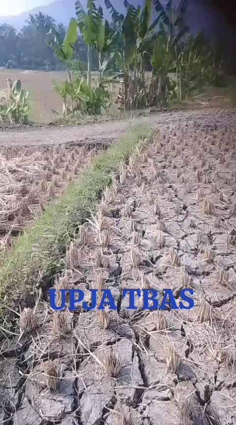 @Upja Tbas
