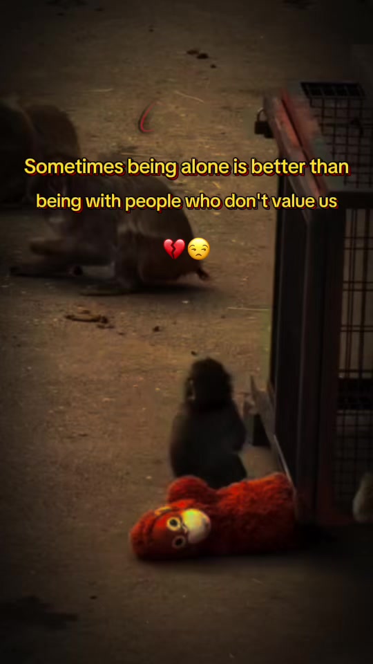 @𝐀𝐤_𝐎𝐟𝐟𝐢𝐜𝐢𝐚𝐥💫🦋⚡
