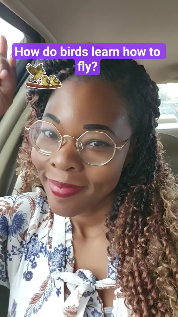 @iiits_Kia
