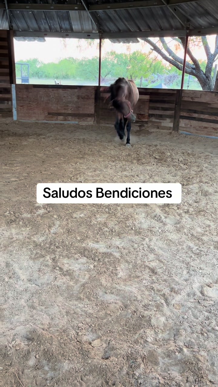 @Ranchoelnaturalito