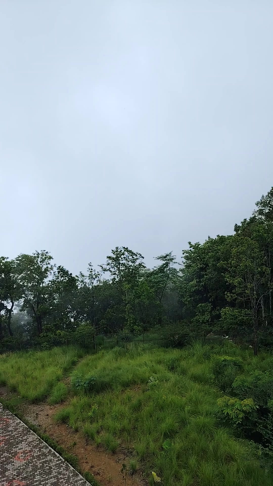@Situ Kandel(ahimshaa)