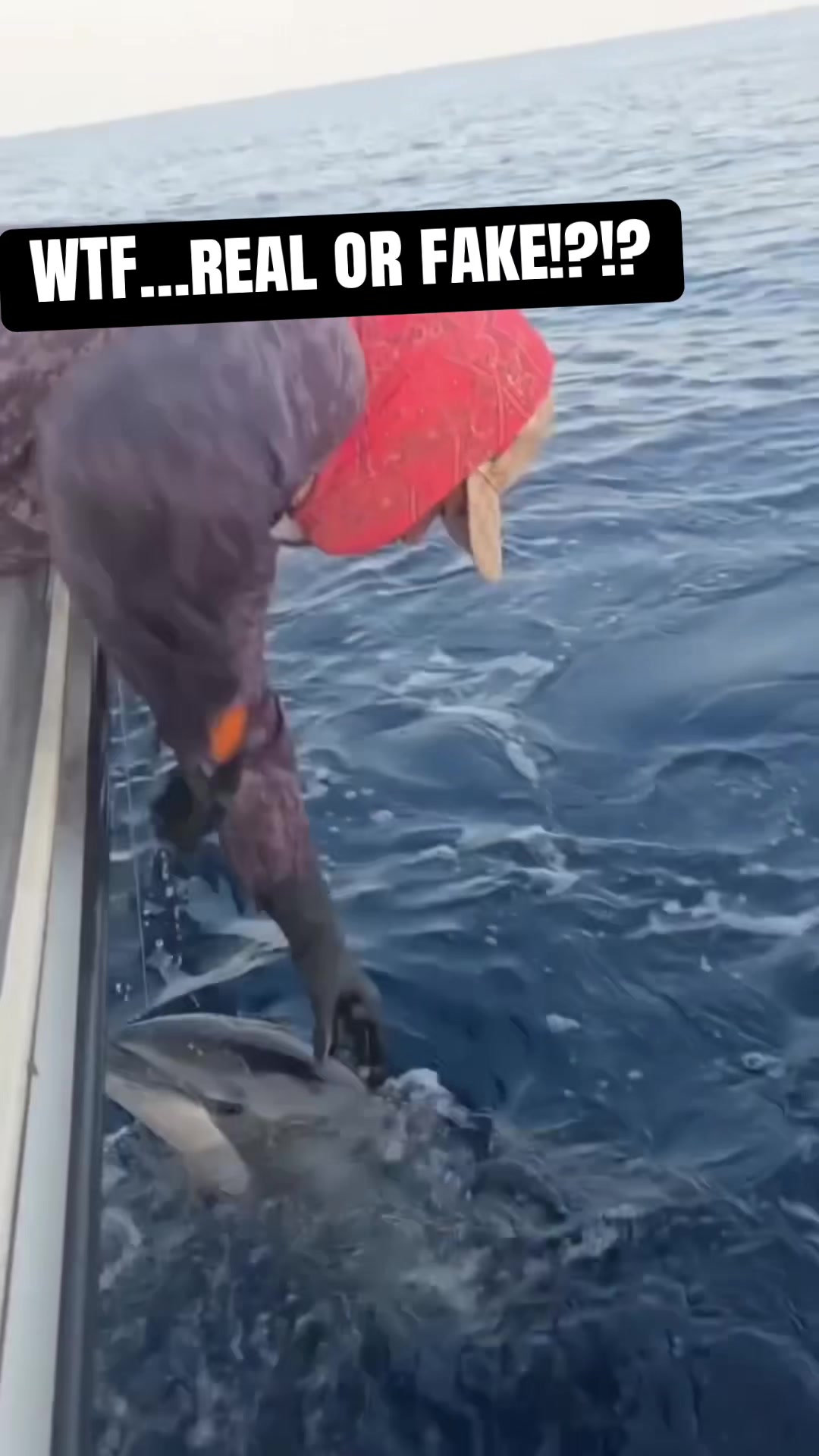 @daily.saltwater
