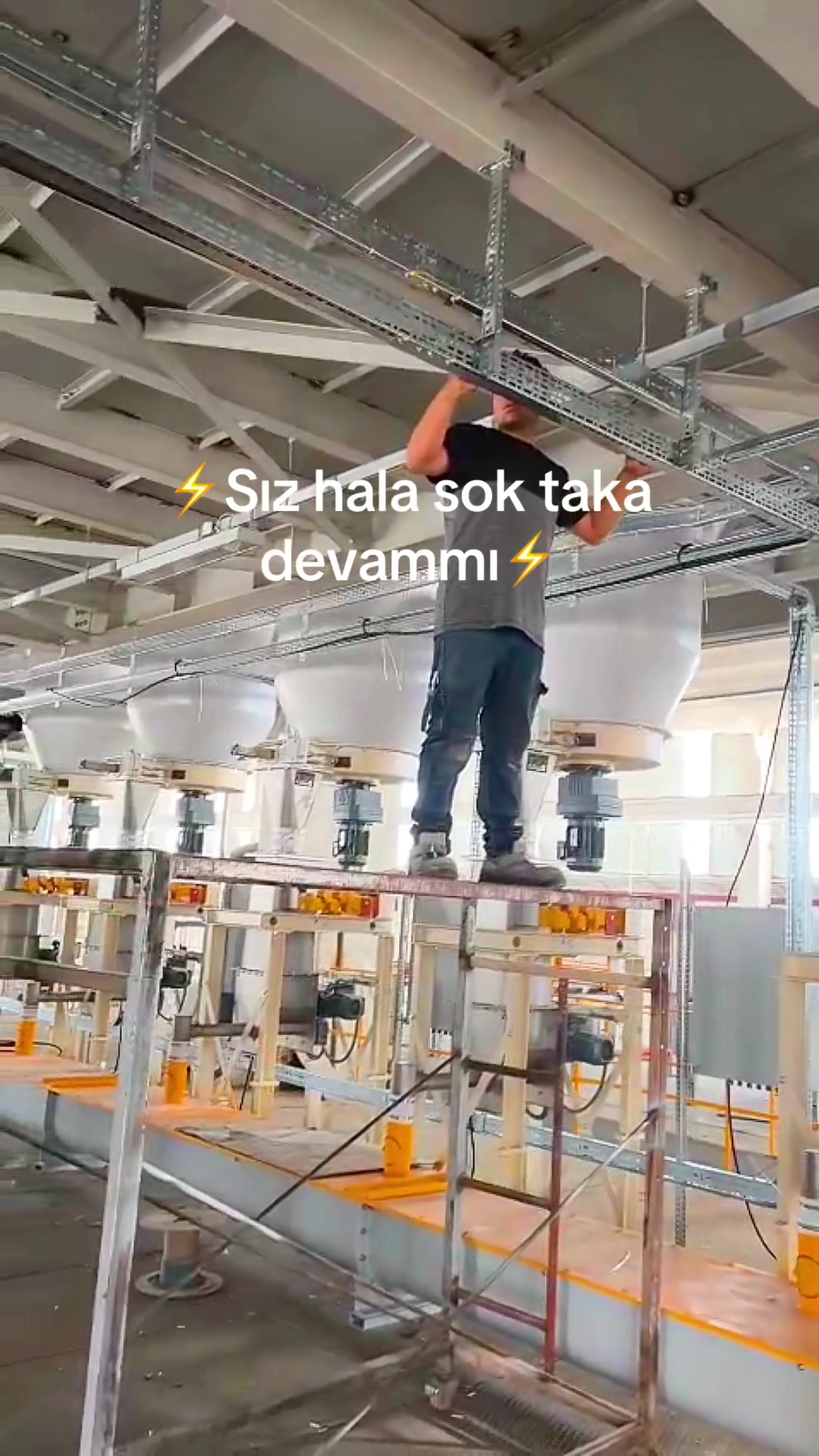 @Doğan Burcu ER