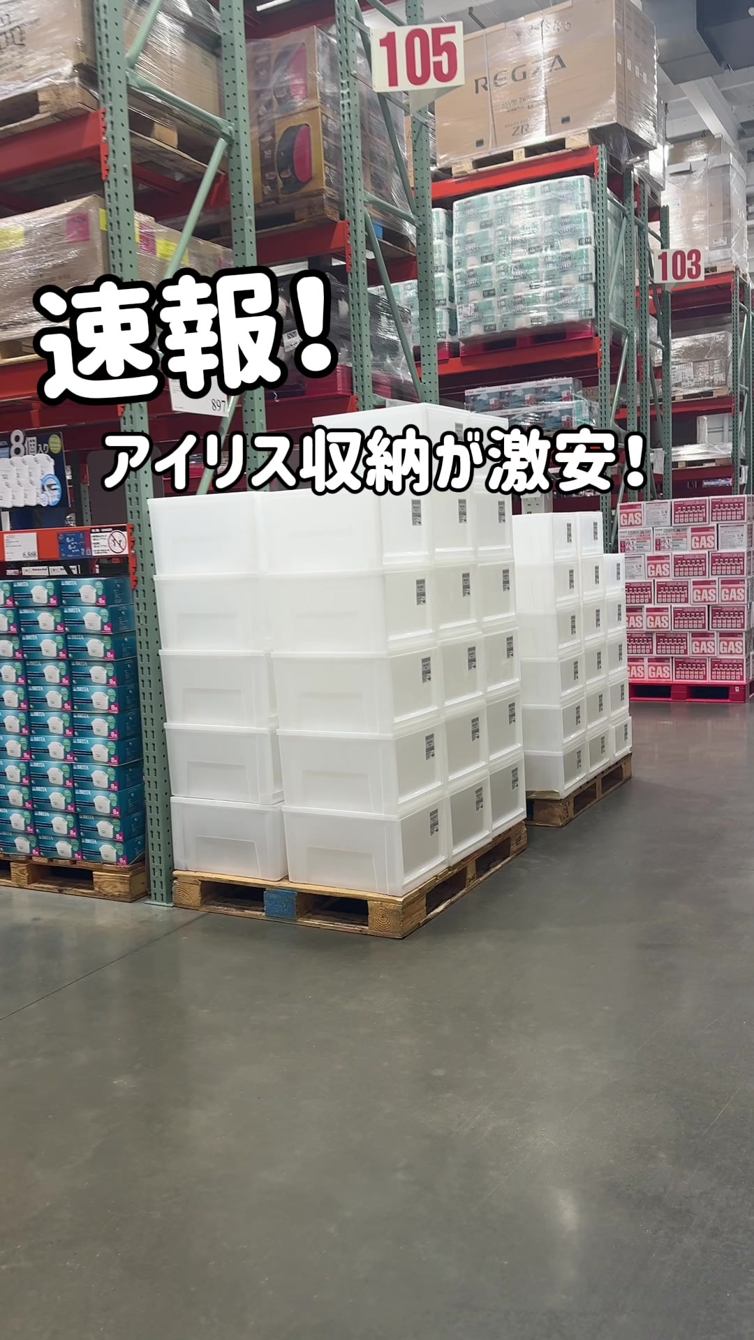 @毎日コストコに通う主婦🥤てこ