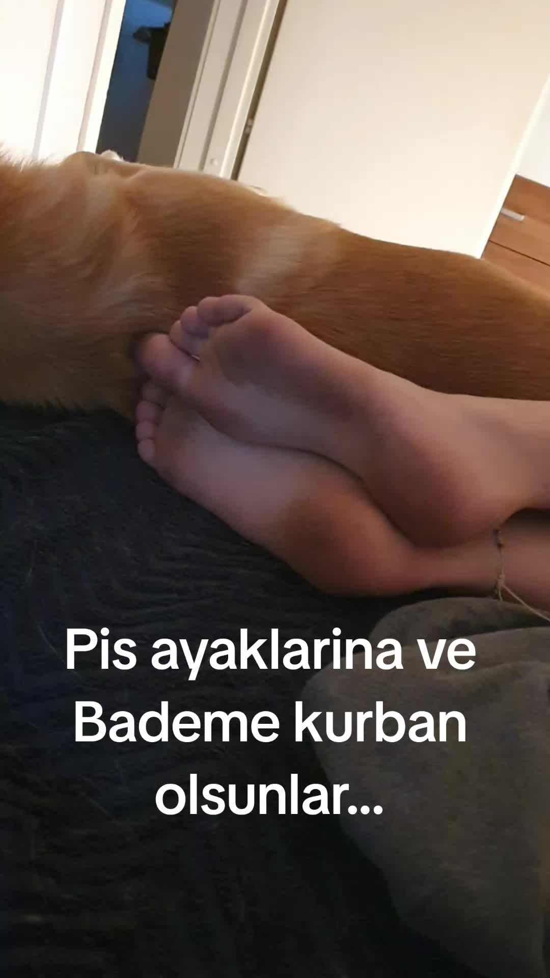 @Susan