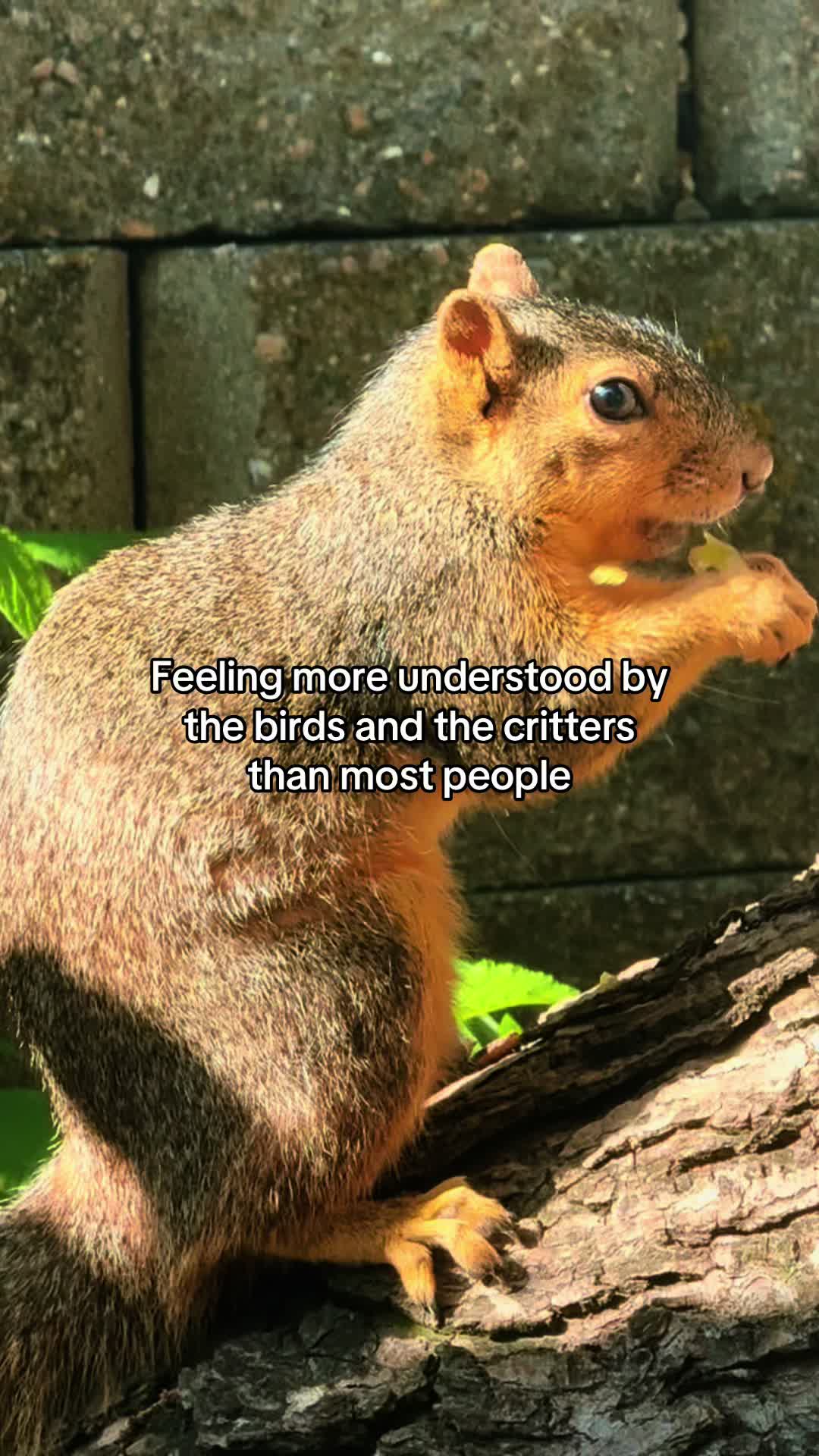 @Anita