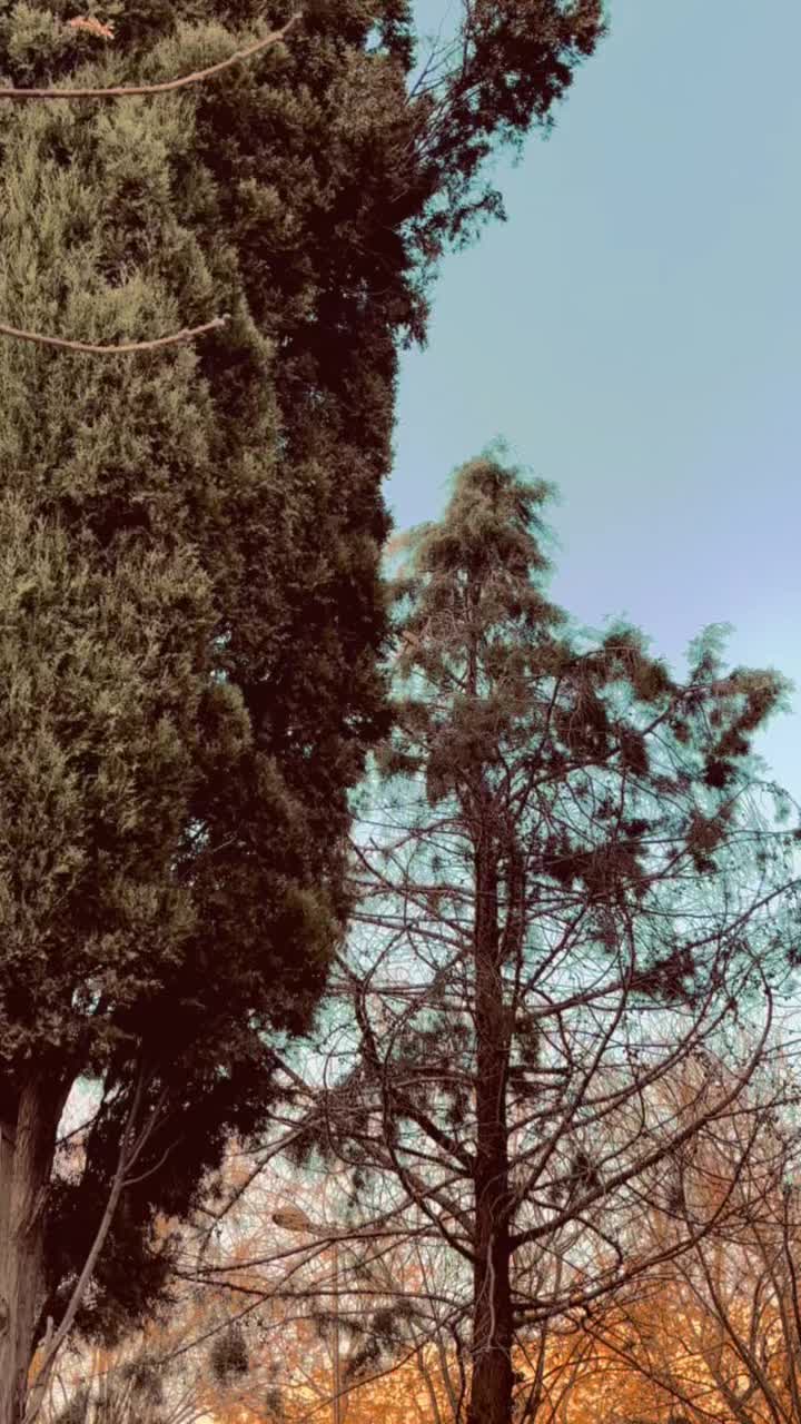 @yilmazezel22