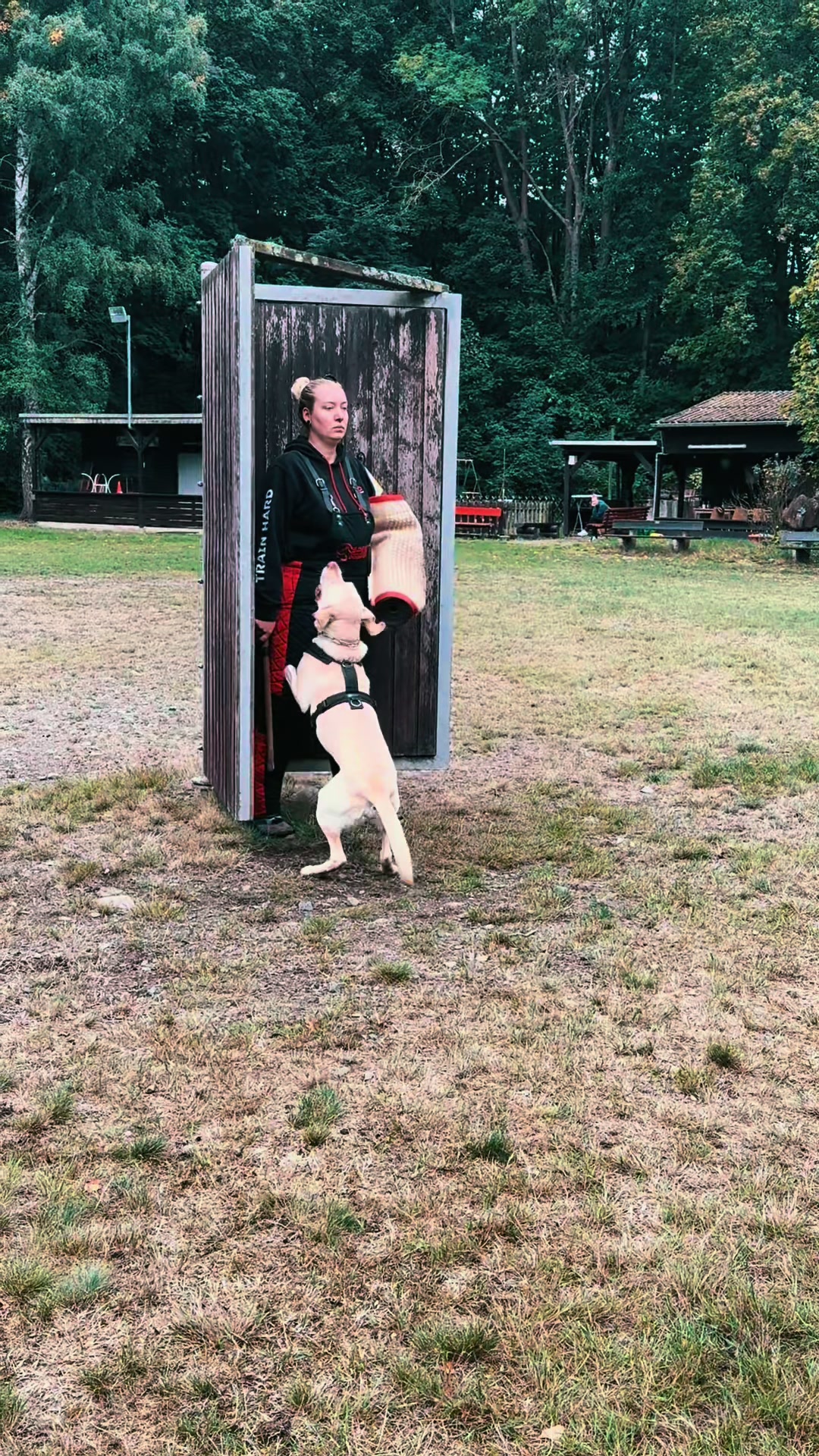 @harzerhunde
