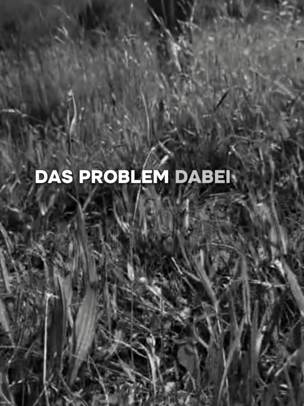@🇩🇪🇦🇹SONNENSCHEIN🇩🇪🇦🇹