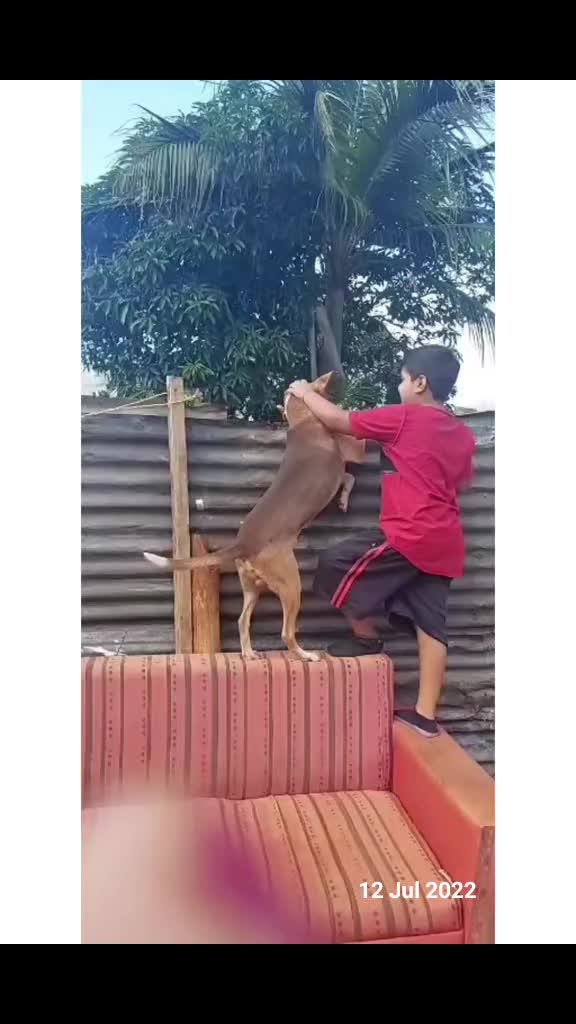 @Angel Veema