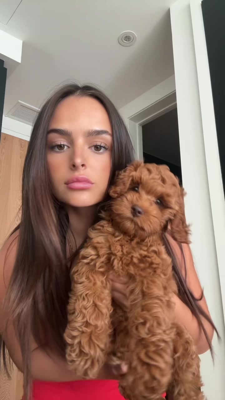 @Mégane:)