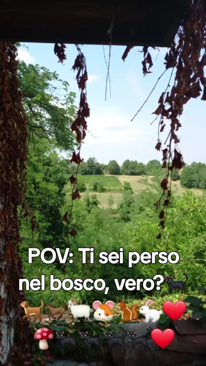 @Ginevra