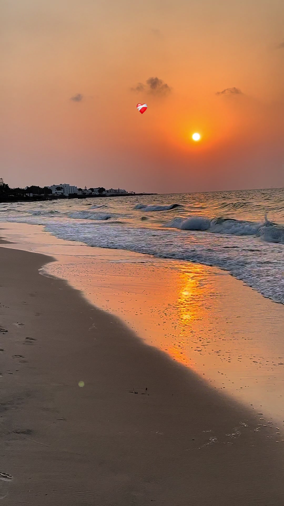 @tunivibes1