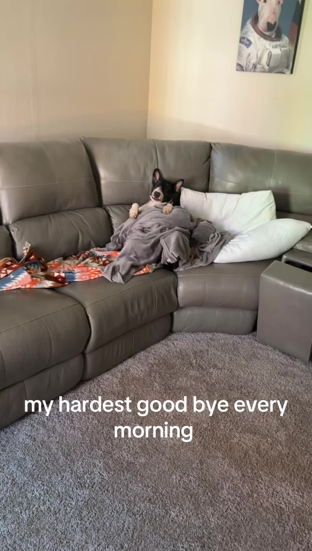 @MrJMika