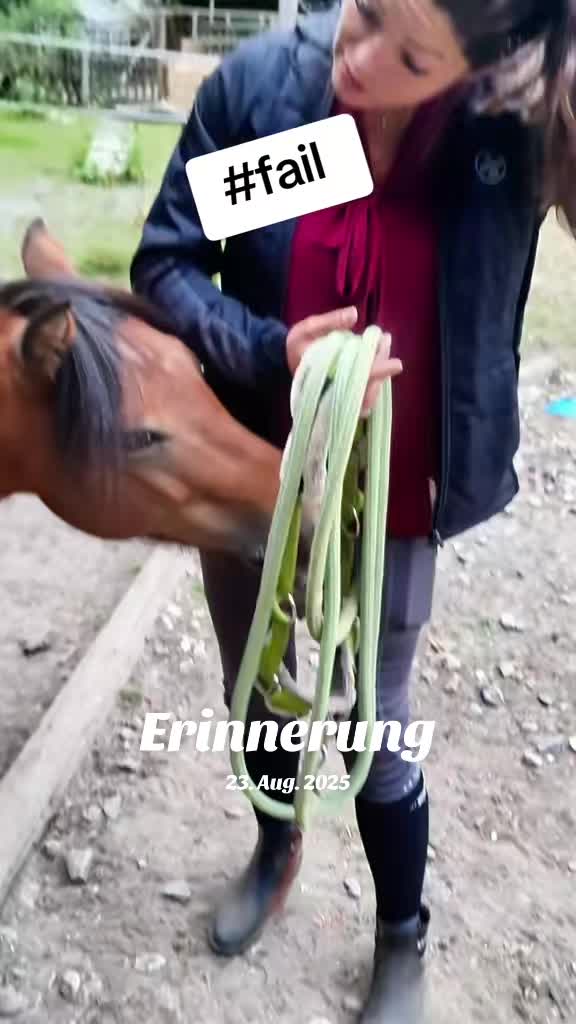 @Another_sunrise_farm