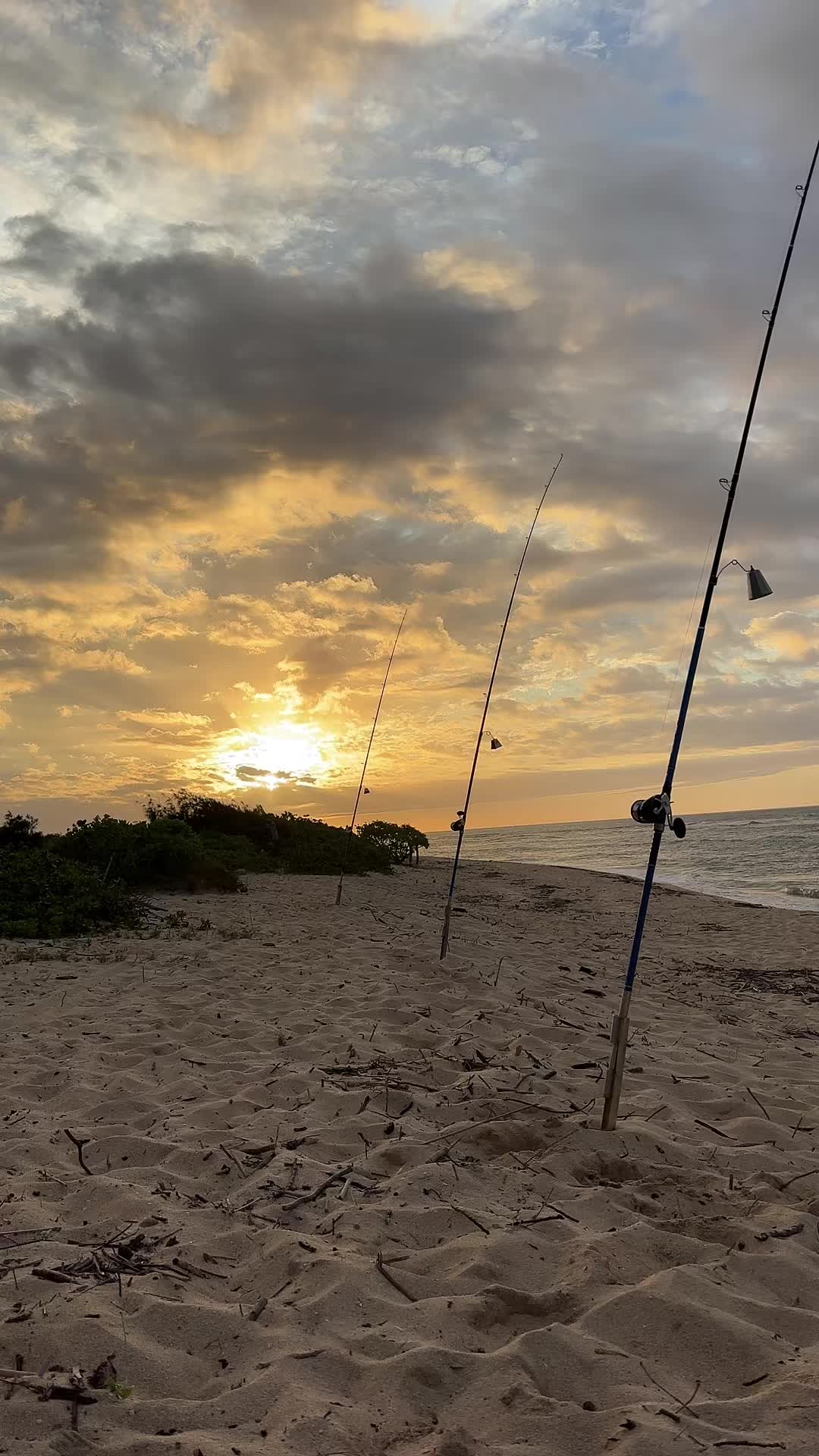 @Kamea