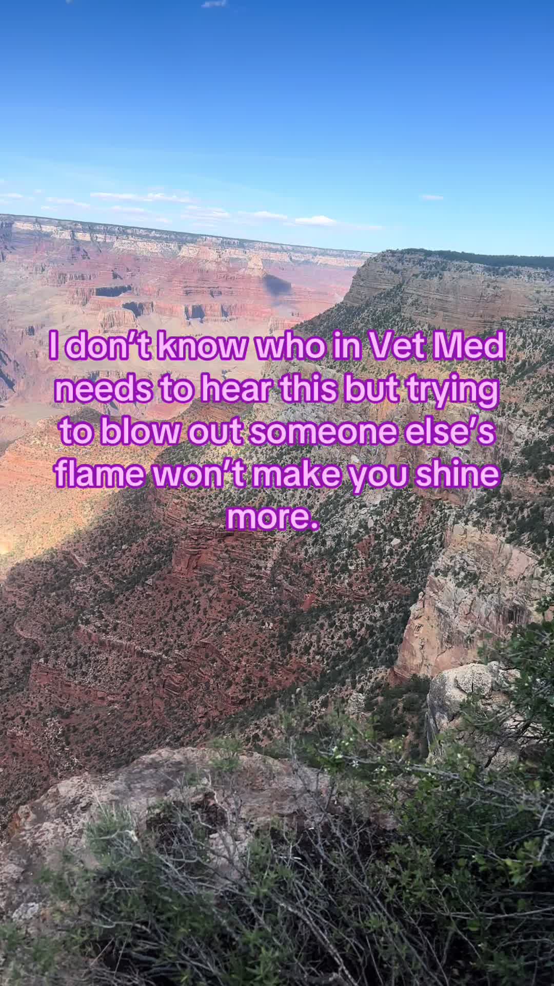 @The.Mobile.Vet.Tech