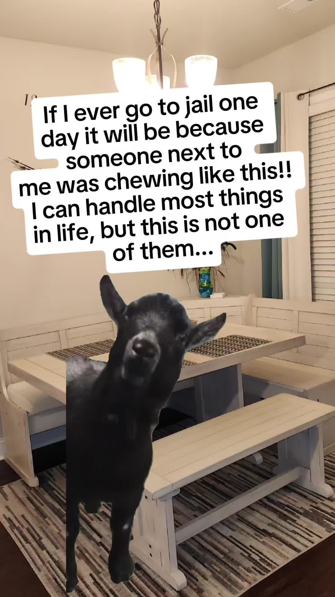 @vpitts2020❌️