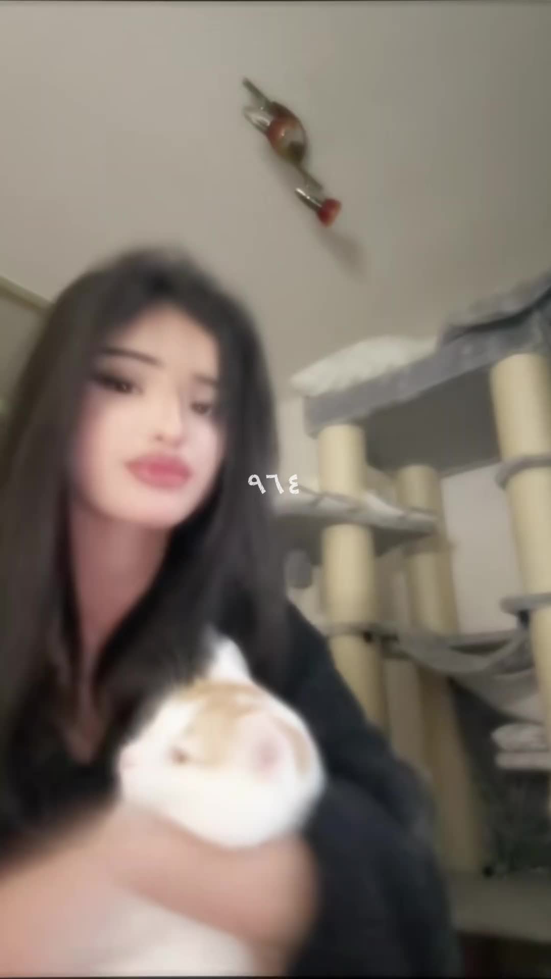 @๐๐๐๐๐/ุดูููููุฏ