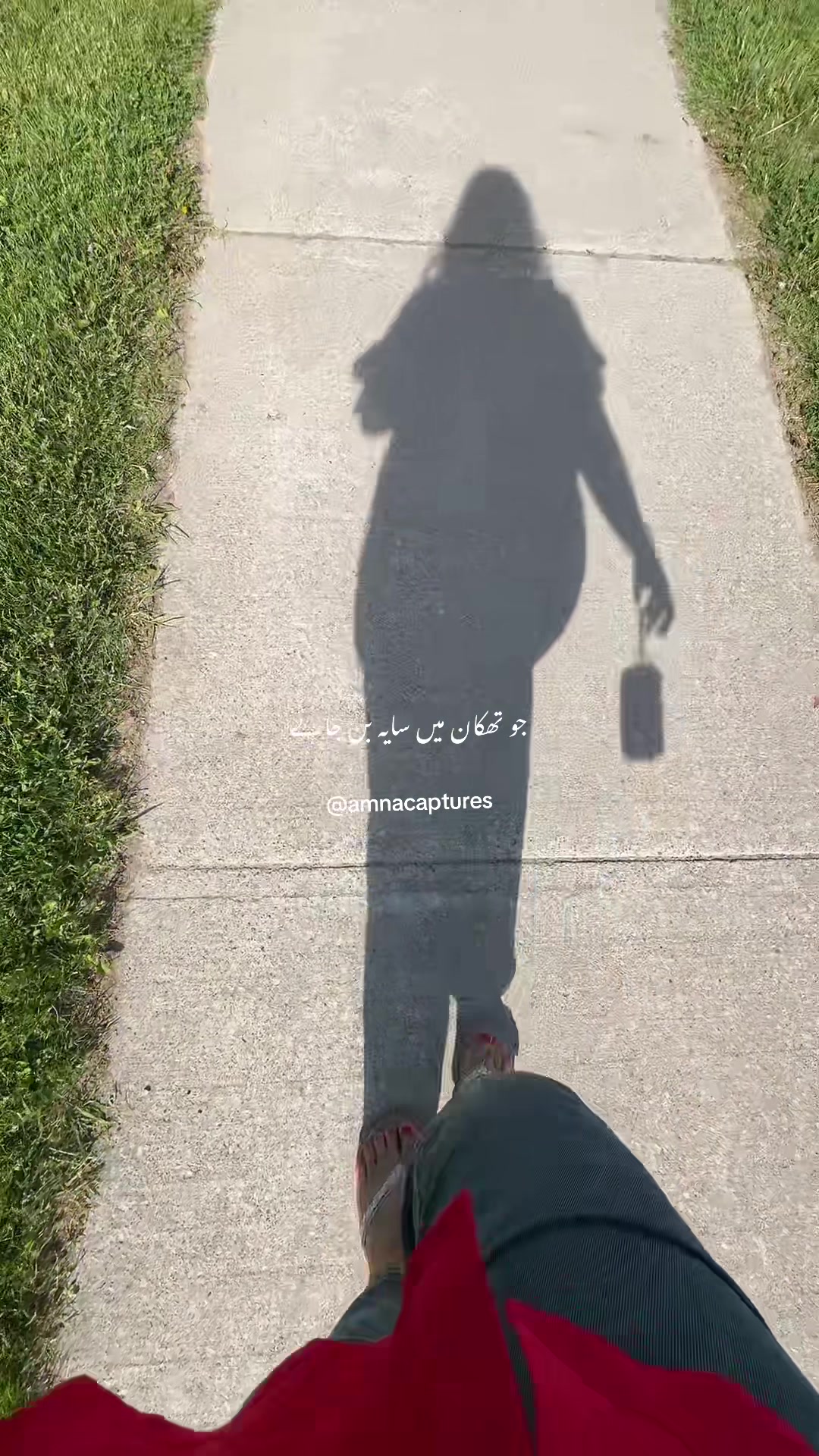 @Nature lover  🇨🇦