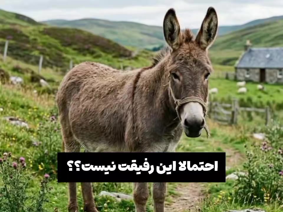 @𝘈𝘺𝘥𝘢 ⋆