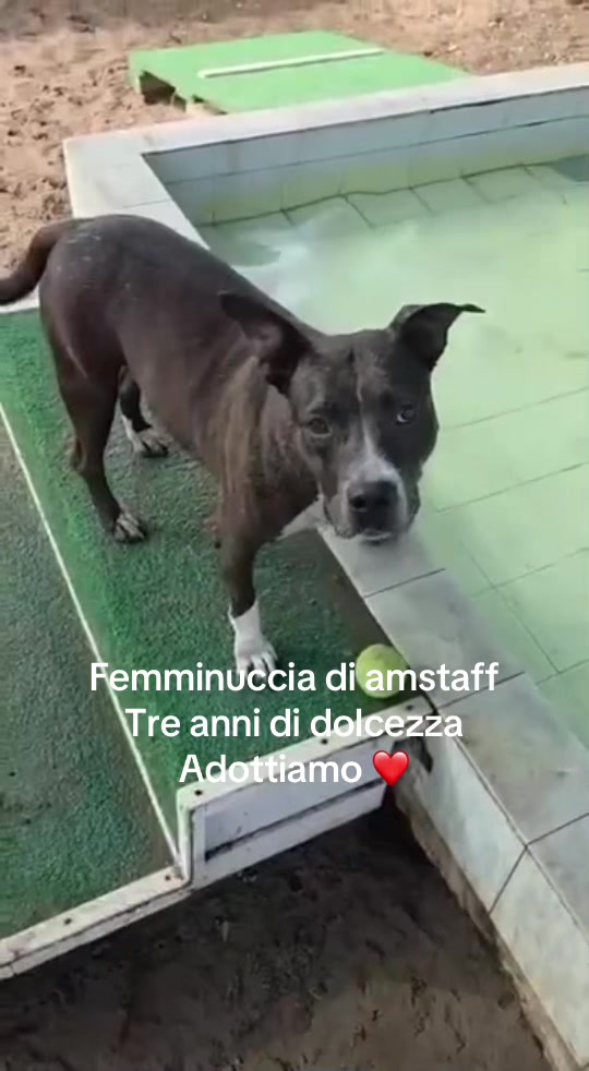 @Alessia Sofia