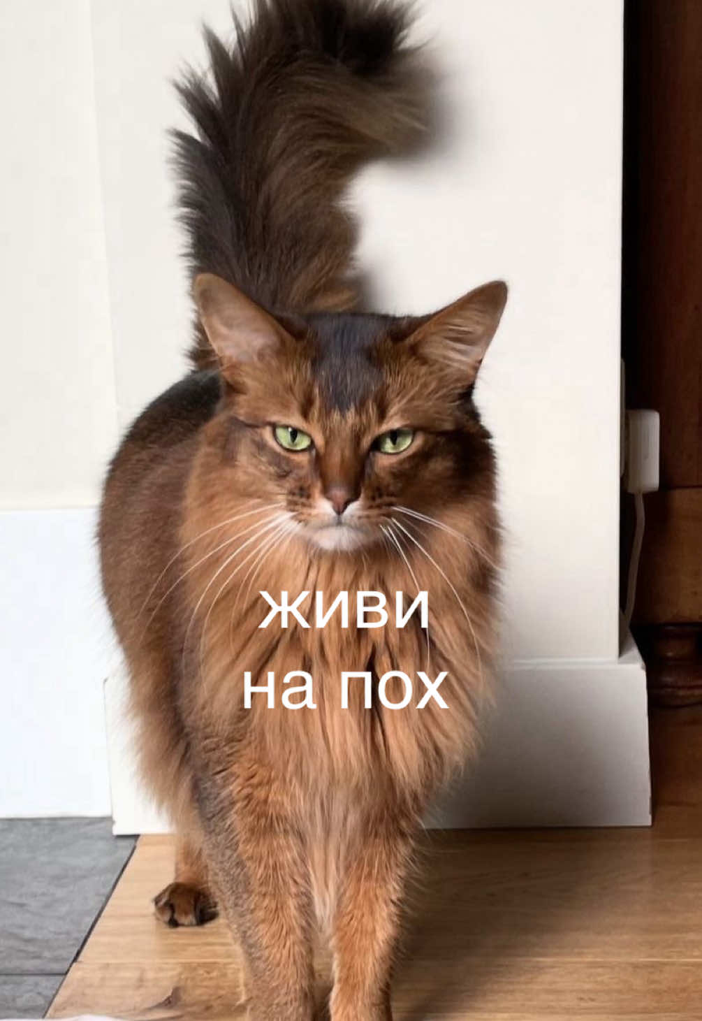 @мамин хep