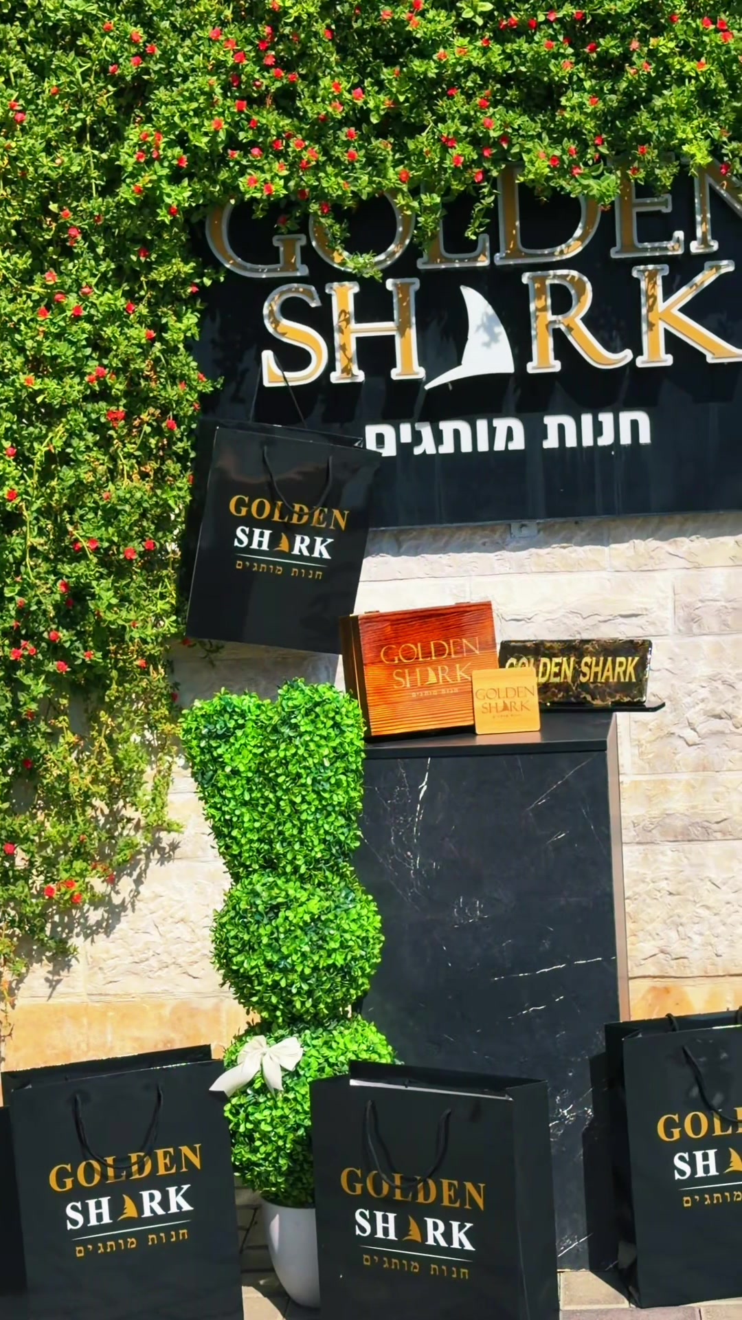 @🦈 GOLDEN SHARK 🦈