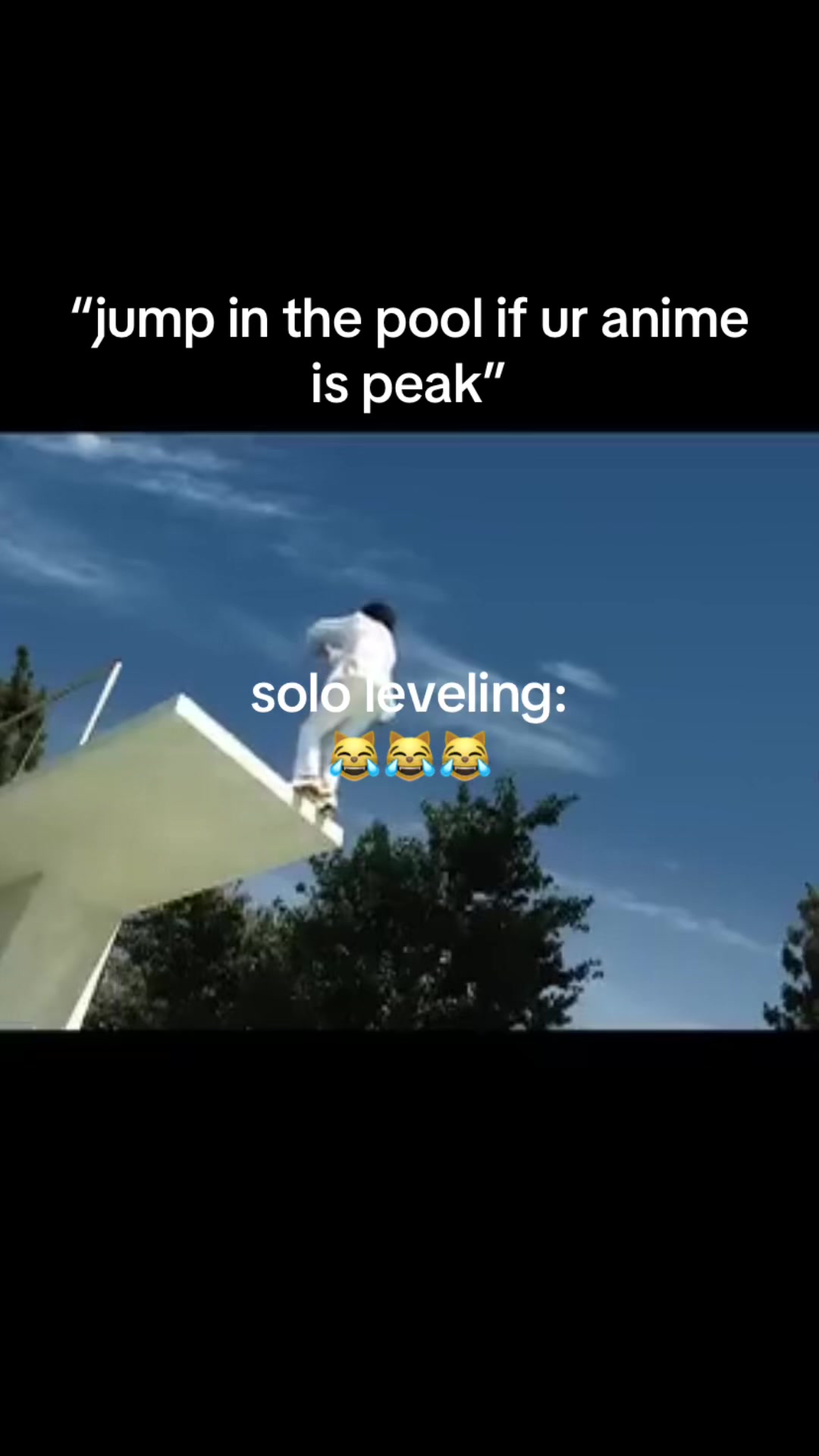 @chiyopenguins