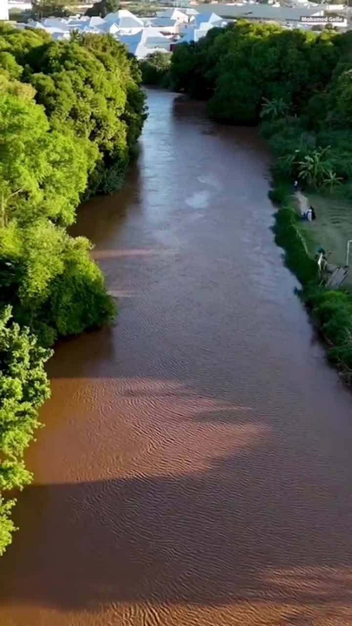 @XALMOOG
