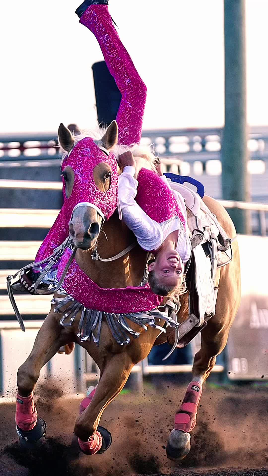 @Hanginghorses