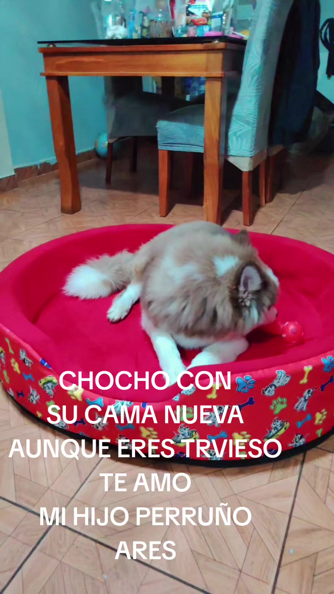 @MAFI
